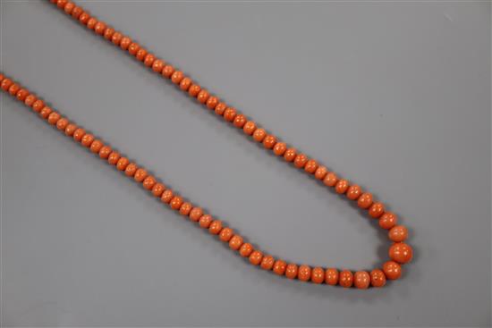 A single strand graduated coral bead necklace, clasp a.f., 49cm, gross weight 16 grams.